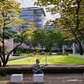 Residential Landscape Featuring Wooden Deck White Umbrella Seats And Green Garden Plants