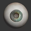 Realistic Human Eyeball with Eyelashes Green Blue Iris and Black Pupil on Dark Background
