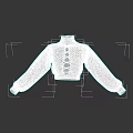 Stylish High Neck Cropped Top With Puffed Sleeves And Fitted Bodice Design