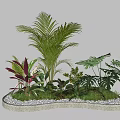 Tropical Garden Landscape With Palm Monstera Red Leaf Plants Moss And White Pebbles