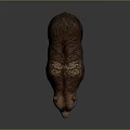 Realistic Brown Bear With Thick Fur Standing In Natural Posture 3d model
