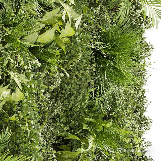 Lush Shrubbery and Ferns in Dense Green Leaf Plant Wall 3d model 