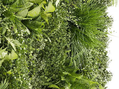 Lush Shrubbery and Ferns in Dense Green Leaf Plant Wall 3d model