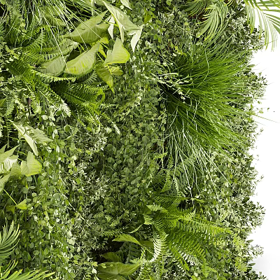 Lush Shrubbery and Ferns in Dense Green Leaf Plant Wall 3d model