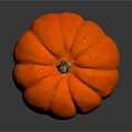 Fresh Orange Round Pumpkin Vegetable With Shiny Surface On Dark Background 3d model