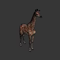 Giraffe 3D Model With Brown Spots And Long Neck Standing On Gray Background 3d model