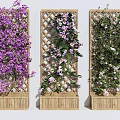 Decorative Garden Trellis With Climbing Vines And Colorful Flowers On Wooden Base