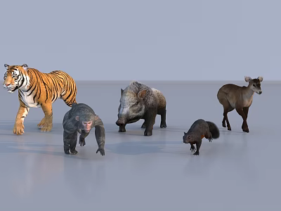 animal tiger orangutan wild boar sika deer 3d model