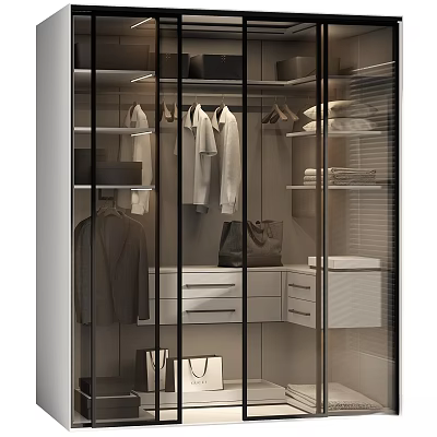 Modern Wardrobe Interior With White Chest Of Drawers Hanging Clothes And Handbags 3d model
