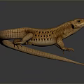 Brown Reptile Lizard With Scaly Skin And Extended Tongue On Gray Background