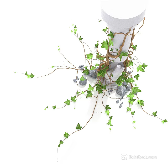 Lush Green Vine With Twisted Roots Surrounding Small Stones And Extending Branches 3d model 