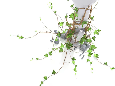 Lush Green Vine With Twisted Roots Surrounding Small Stones And Extending Branches 3d model