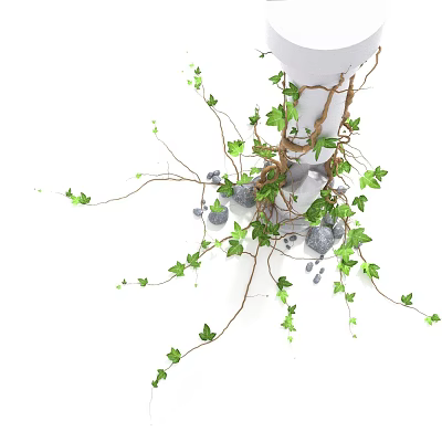 Lush Green Vine With Twisted Roots Surrounding Small Stones And Extending Branches 3d model