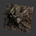 Natural Tree Stump With Rough Bark Broken Parts And Exposed Roots