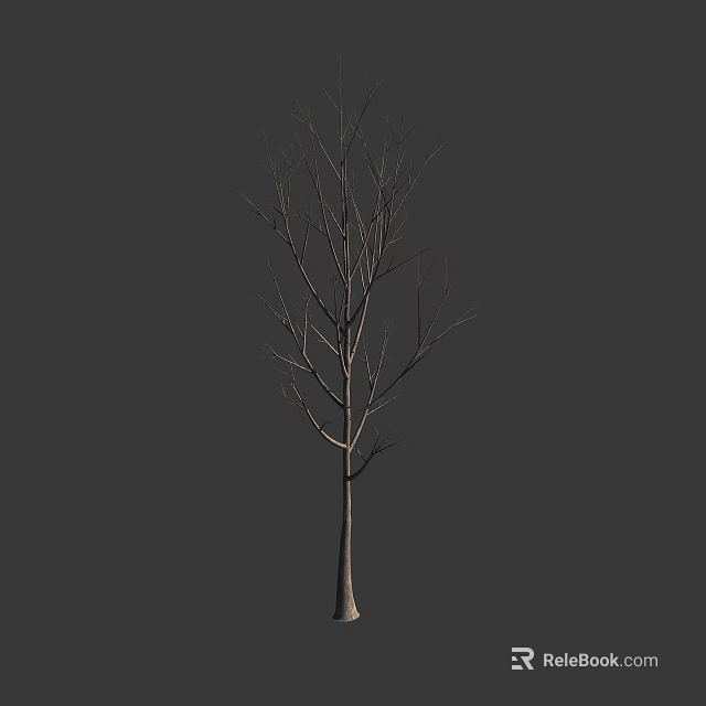 Bare Arbor With Leafless Branches Against Gray Background In Isolated Scene 3d model
