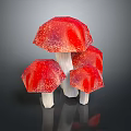 Red Mushrooms With White Stems And Textured Surfaces Four Stacked On Dark Background