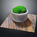 Green Moss Plant in Gray Cement Pot on Wooden Textured Mat