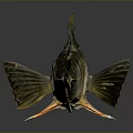 Greenish Brown Fish With Spines On Back And Shiny Scales On Dark Surface