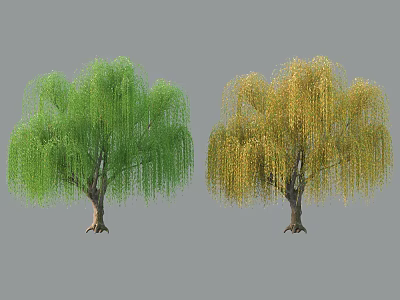 Garden Landscape Featuring Green And Yellow Willow Trees With Drooping Branches 3d model