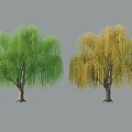 Garden Landscape Featuring Green And Yellow Willow Trees With Drooping Branches