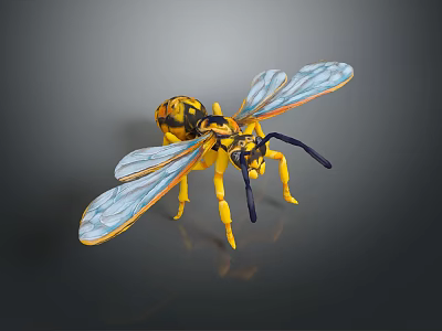 Detailed Yellow and Black Wasp Model With Blue Transparent Wings Isolated on Dark Background 3d model
