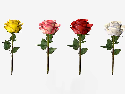 Different Colored Roses in Yellow Pink Red White With Green Leaves And Stems 3d model