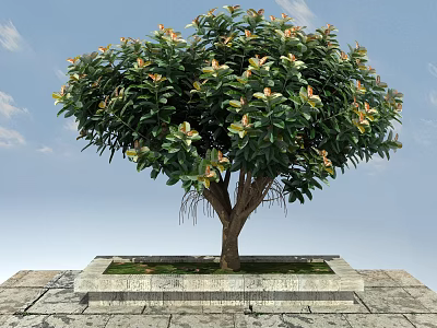 Vibrant Arbor With Green Foliage Pink Blooms And Brown Trunk In Square Stone Planter 3d model