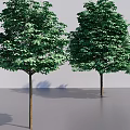 Two Trees Featuring Green Leaves And Brown Trunks On Gray Background 3d model