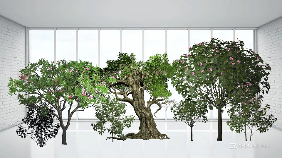 Garden Landscape Design With Various Trees Old Tree And Pink Flowers By White Windows 3d model 