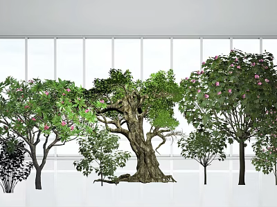 Garden Landscape Design With Various Trees Old Tree And Pink Flowers By White Windows 3d model