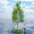 Leafy Green Tree With White Trunk On Grassland Against Blue Sky White Clouds Water Reflection