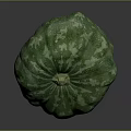 Green Pumpkin With White Spots Fresh Round And Healthy Organic Produce