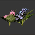 Beautiful Hydrangea Flowers with Blue Pink and Purple Blooms Green Leaves on Dark Background
