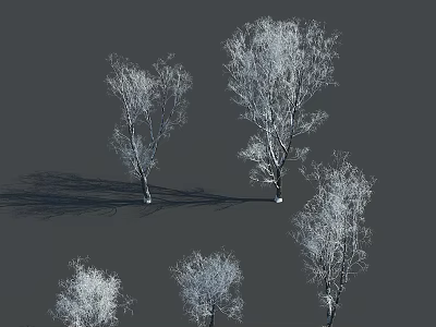 Arbor Trees With Silvery White Branches Casting Dark Shadows On Gray Background 3d model