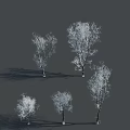 Arbor Trees With Silvery White Branches Casting Dark Shadows On Gray Background 3d model