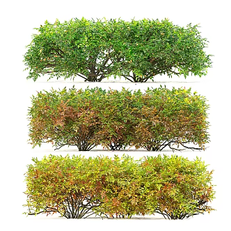 hedgerow 3d model