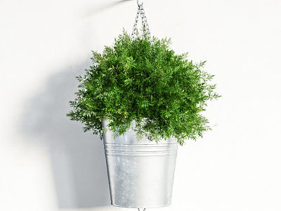 Modern Hanging Basket Indoor Plants model