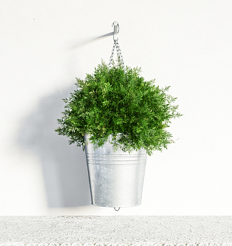 Modern Hanging Basket Indoor Plants 3d model