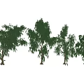 Lush Green Arbor Collection Featuring Weeping Willows And Various Tree Species 3d model