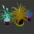 White Flowering Fern And Colorful Leaf Plants In Black Pots On Wooden Tray Stand