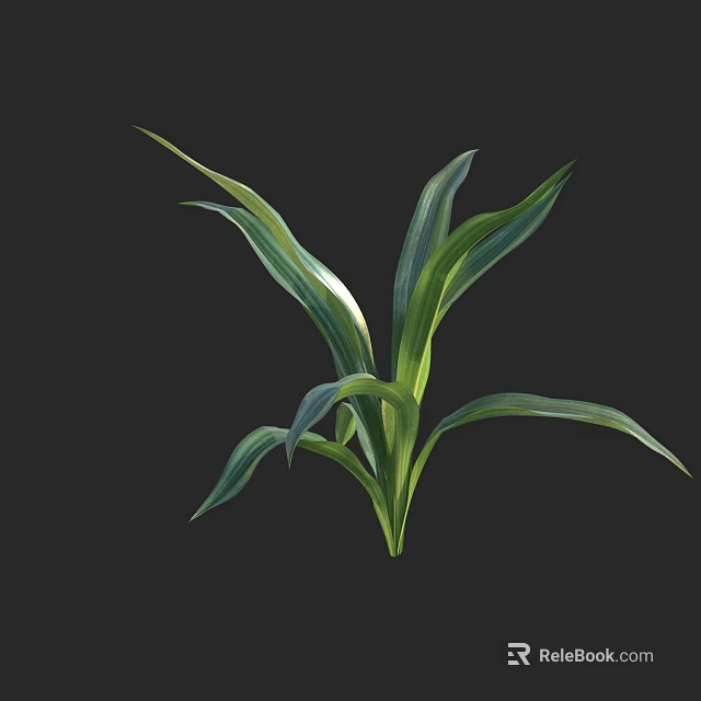Green Potted Foliage Plant With Long Vibrant Leaves For Indoor Decoration 3d model 
