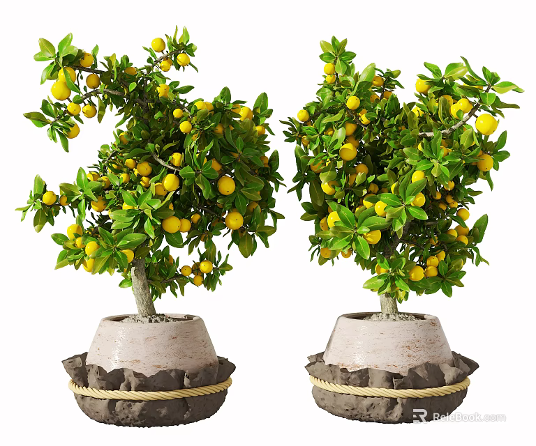 Lemon Bonsai Plants With Yellow Fruits Green Foliage In Decorative Stone Base Pots 3d model 