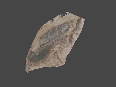 Natural Ancient Fossil Leaf Preserved in Stone with Detailed Vein Structure 3d model