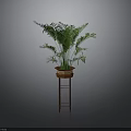 Lush Green Indoor Plant in Brown Planter on Red Stand with Grey Background