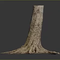 Natural Wooden Tree Stump With Exposed Roots And Textured Trunk Structure