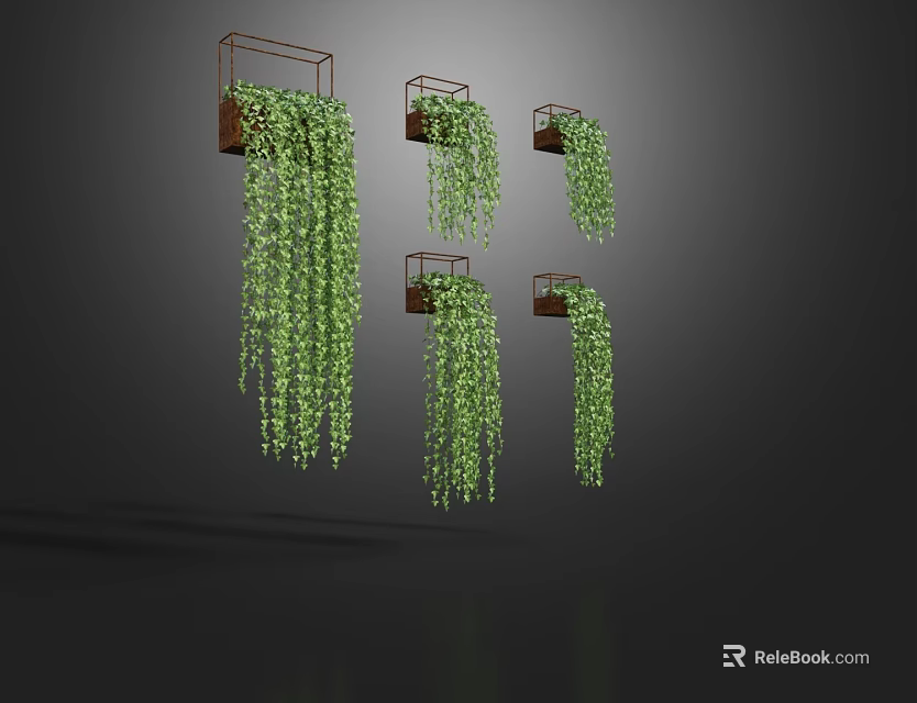 Three Wall Mounted Planters With Trailing Green Vines And Hanging Leaves 3d model 