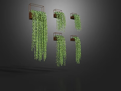 Three Wall Mounted Planters With Trailing Green Vines And Hanging Leaves 3d model