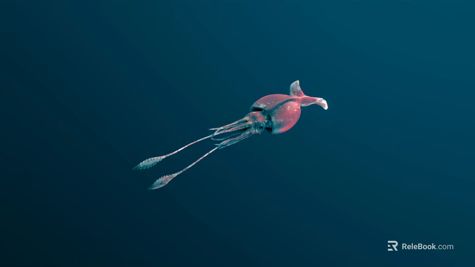 Red Squid Gracefully Swimming in Deep Blue Water With Long Tentacles 3d model 