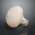 White Mushroom With Bumpy Surface And Gray Stem On Dark Background 3d model