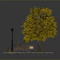 Golden Yellow Leaf Tree With Wooden Bench Street Lamp And Fallen Leaves